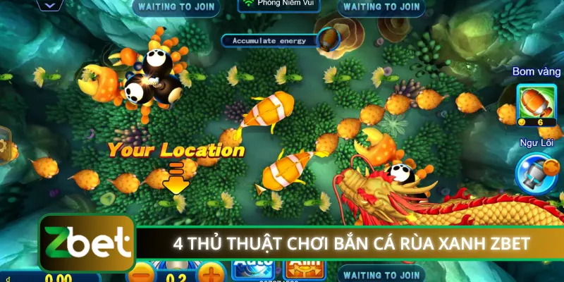 4 thủ thuật chơi bắn cá rùa xanh ZBET