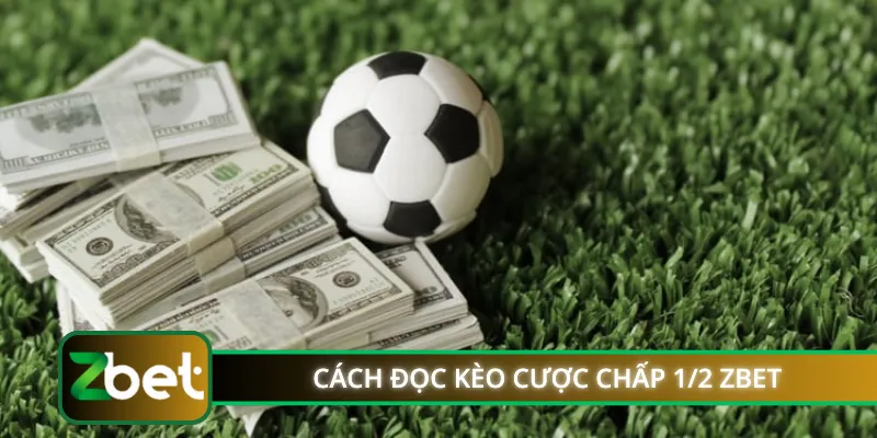 Cách đọc kèo cược chấp 1/2 ZBET