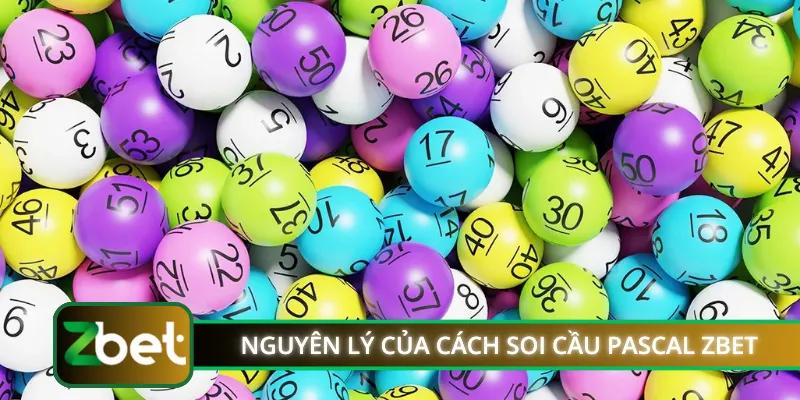 Nguyên lý của cách soi cầu PASCAL ZBET