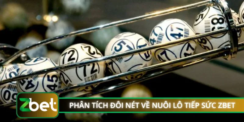 Phân tích đôi nét về nuôi lô tiếp sức ZBET