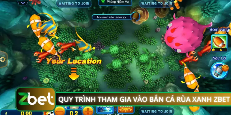 Quy trình tham gia vào bắn cá rùa xanh ZBET